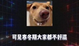 娱乐吃瓜版,明星们的幕后故事与八卦风云