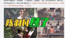 海哥专武爆料是谁啊视频,是谁在视频背后引发热议？