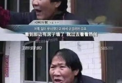 6分钟吃瓜视频免费观看,揭秘热门视频背后的精彩瞬间