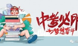 成田车祸最新爆料消息,事故真相与背后隐情曝光