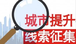 夜间新闻爆料热线,夜间新闻爆料背后的故事