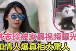 狗仔爆料家暴视频,家暴视频曝光，娱乐圈黑暗面再掀波澜
