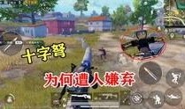 兔子爆料和平精英视频,揭秘和平精英幕后精彩瞬间